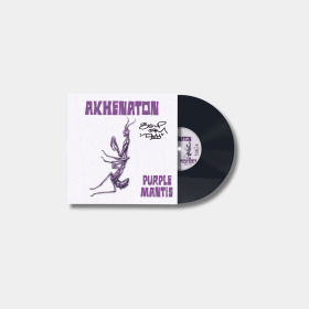 Vinyl 45T Purple Mantis Dédicacé