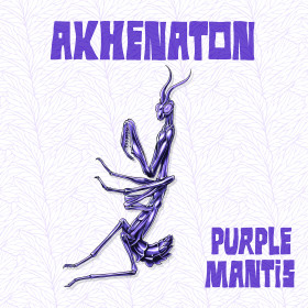 Purple Mantis