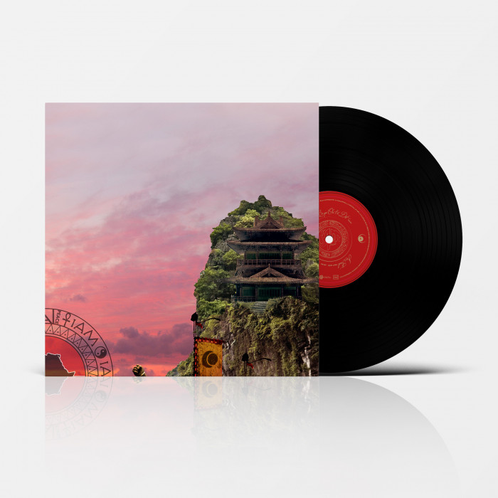 Vinyl Troisième Vague